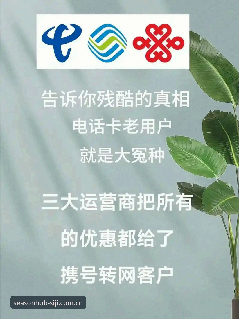 四季网靠谱吗？老用户实测分享：2024年最新使用体验全解析