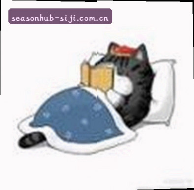 赵敏