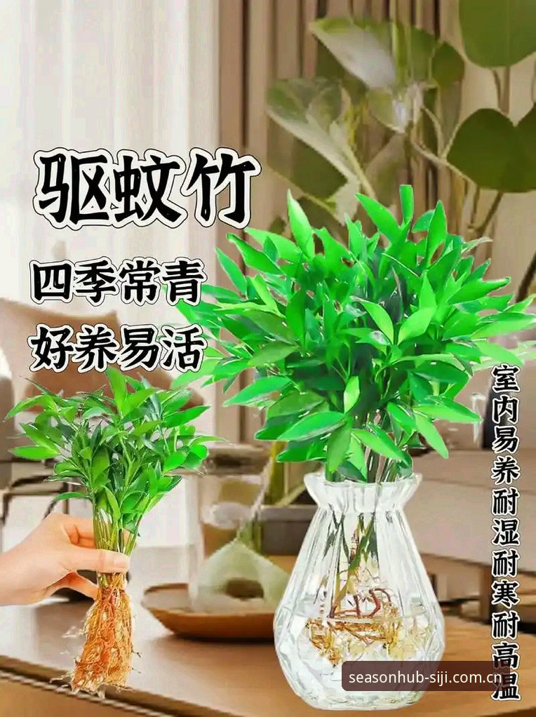 4个让生活更简单的四季网下载技巧，四季官网平台老用户实用分享
